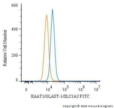 Flow Cytometry: EAAT1/GLAST-1/SLC1A3 Antibody [FITC] [NB100-1869F] - An intracellular stain was performed on HeLa cells with EAAT1/GLAST-1/SLC1A3 Antibody NB100-1869F (blue) and a matched isotype control (orange). Cells were fixed with 4% PFA and then permeabilized with 0.1% saponin. Cells were incubated in an antibody dilution of 10 ug/mL for 30 minutes at room temperature. Both antibodies were conjugated to FITC.